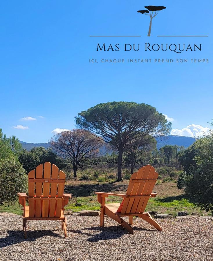 Le Mas Du Rouquan Vidauban Dış mekan fotoğraf