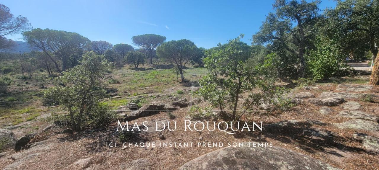 Le Mas Du Rouquan Vidauban Dış mekan fotoğraf