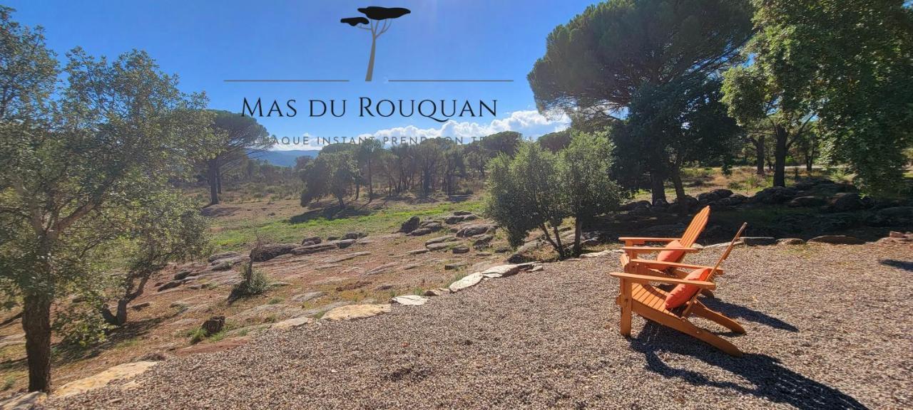 Le Mas Du Rouquan Vidauban Dış mekan fotoğraf