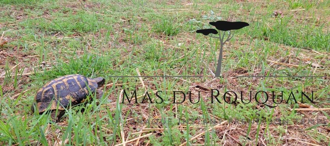 Le Mas Du Rouquan Vidauban Dış mekan fotoğraf